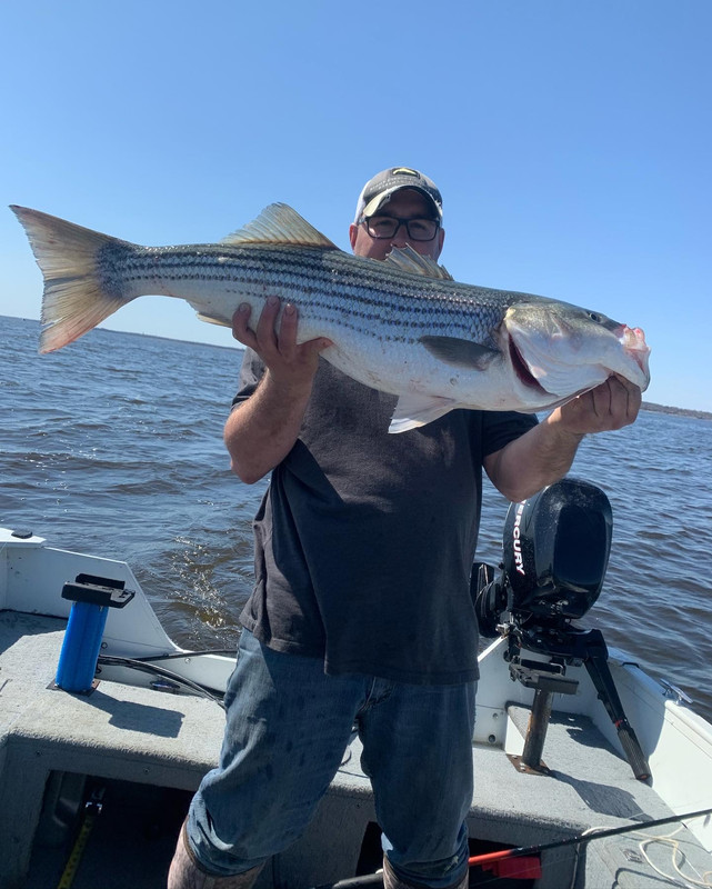 BFF5085F-A917-4583-BD1B-91BCEDB16690