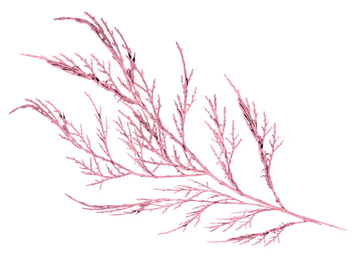 WINTER LOVE_DBJ-ELEM (76)