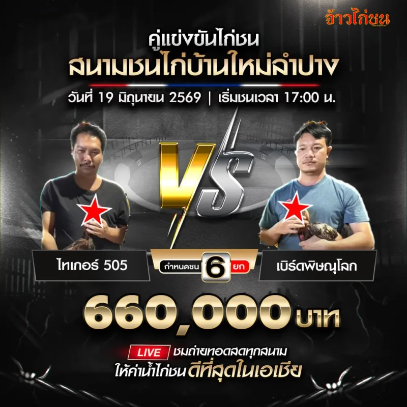 ไทเกอร์ 505 พบ เบิร์ดพิษณุโลก โปรแกรมไก่ชน สนามชนไก่บ้านใหม่ลำปาง 19 มิถุนายน 2569