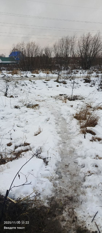 IMG 20251130 115142 536