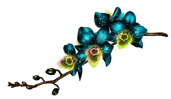 PeacockDreams_MM_Element (79)