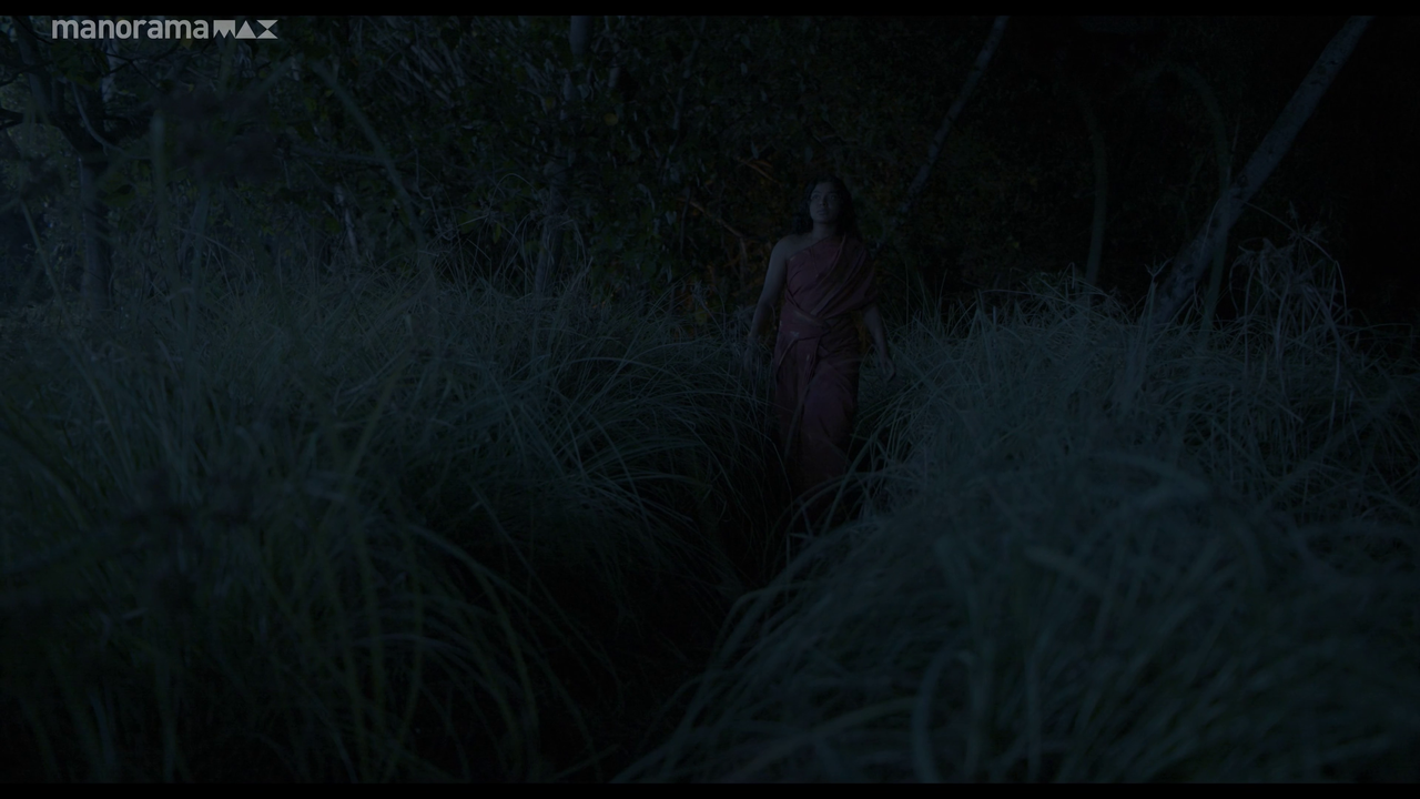 vlcsnap 2026 02 25 12h51m54s532