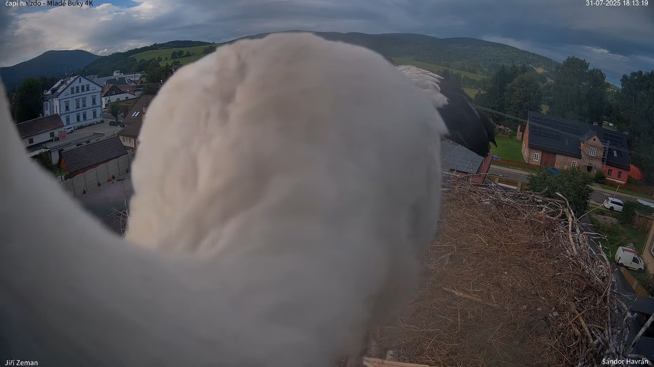 Tiešraides kamera — Mladé Buky — stārķa ligzda 4K 14-36-34 screenshot