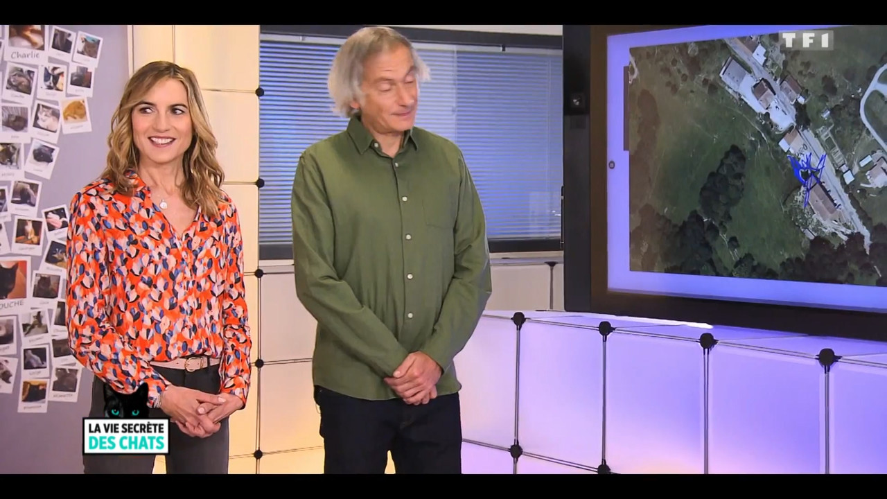 2020-05-30_10_35_TF1_La-vie-secrete-des-chats_Chats-et-sentiments-avec-Charlotte-Valan.mp4_snapshot_