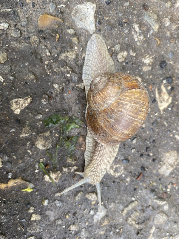 28DDDA2B-4BF2-4986-876D-0C7929E44621