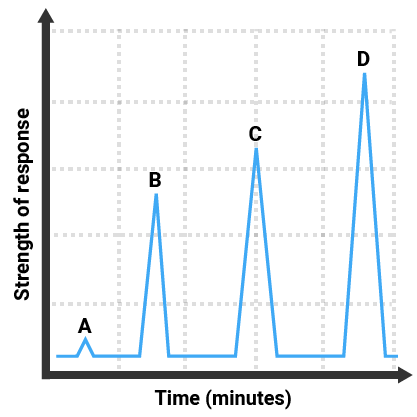 Chromatography