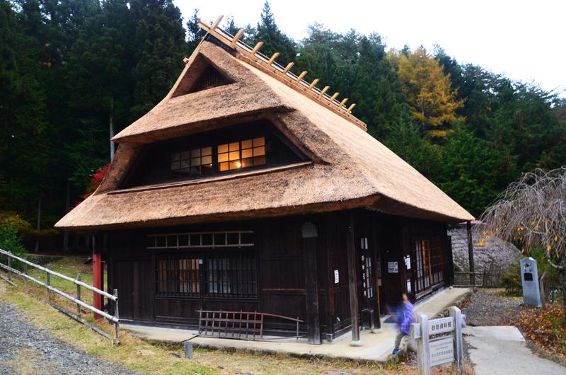 Saiko Iyashi no Sato Nenba-16-11-2024 - Japón y sus Pueblos-2024 (25)