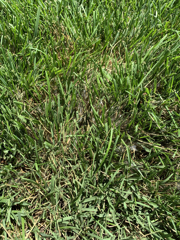 F812DD4E-EE06-44BD-860D-B89B385A2705