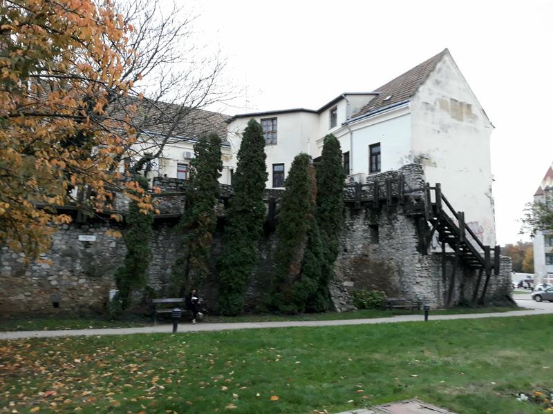 Slika