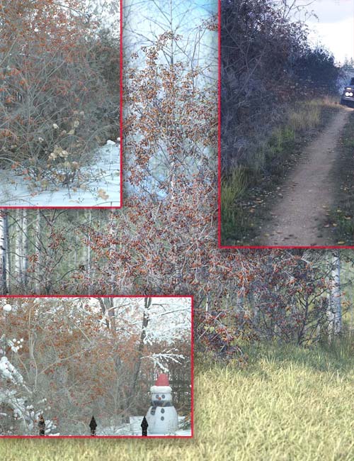 Hedgerow Kit 2 - Winter Hawthorne Hedges