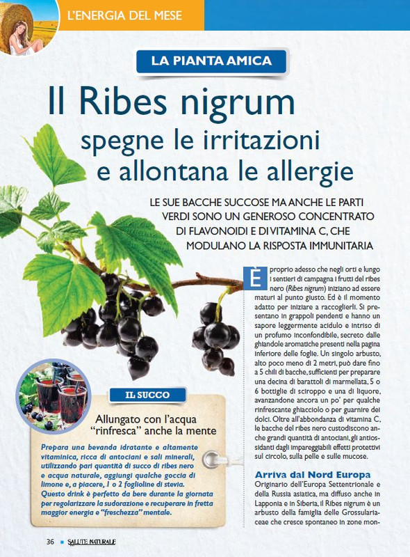 Sal Nat Lug 2021 (5)