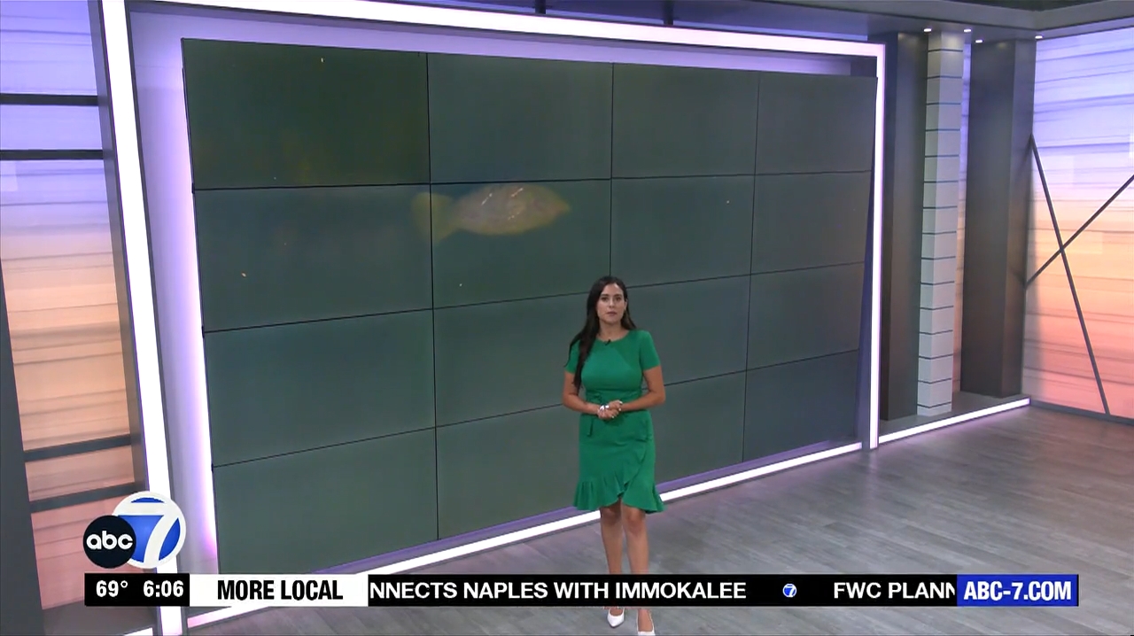 Abc7 More In The Morning Wkn 6Am Su 20240317 10001100-1.mp4_snapshot_07.06.354