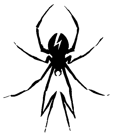 killjoy spider