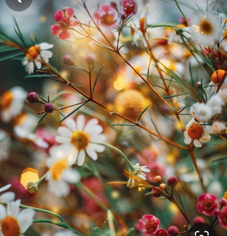 Screenshot_20240331_163645_Pinterest