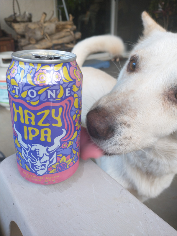 IMG_20220904_170436579