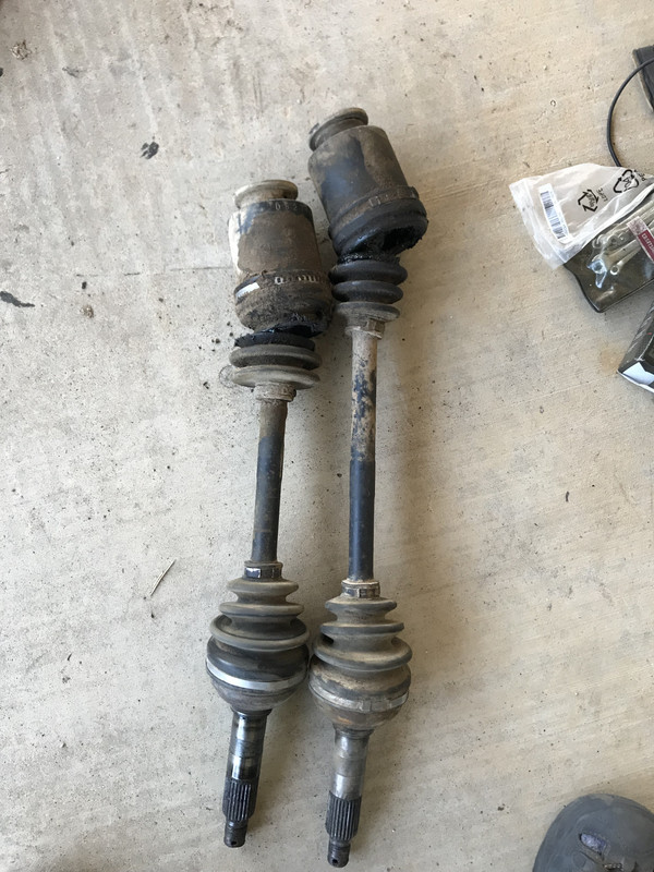 7FE11593-3AD9-4333-96DA-8D6D7AA20CD3