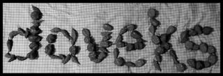 4-FFD6-D0-D-1-F4-D-4-FF4-9-F0-D-349-EBAC50-C33.jpg