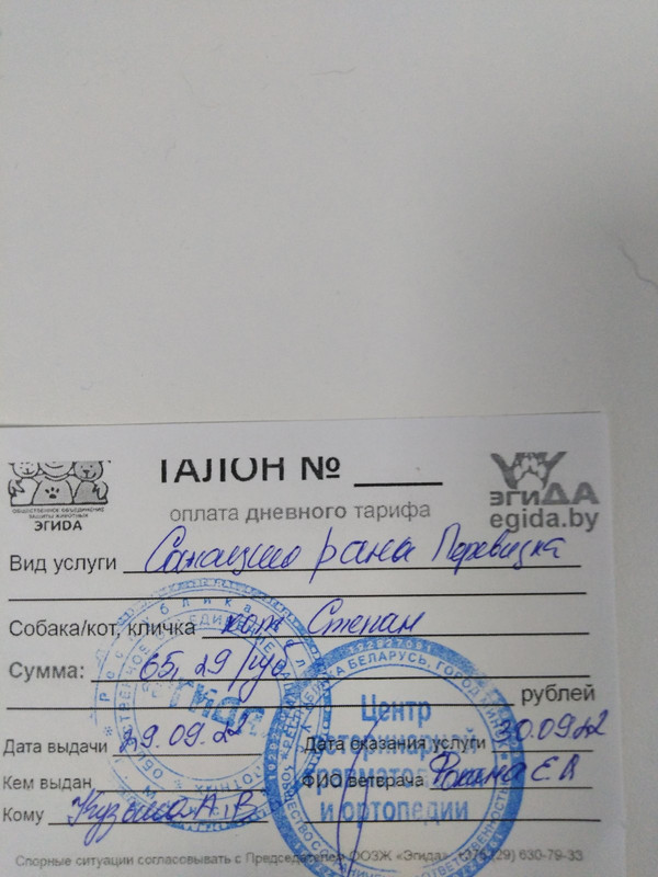 изображение_viber_2022-11-10_16-45-30-115