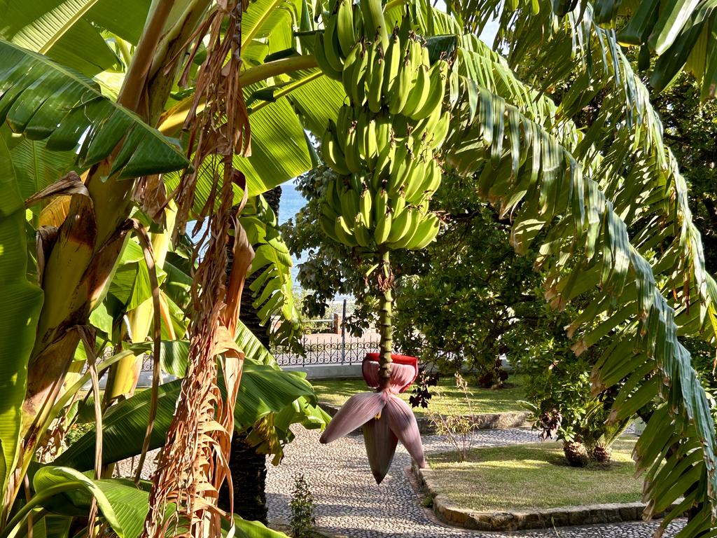 Жаркий сентябрь на побережье Тирренского моря. Жаркий сентябрь на побережье Тирренского моря.