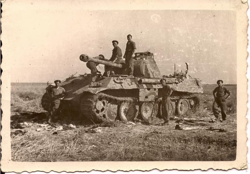 panther tank knocked out in field(1)