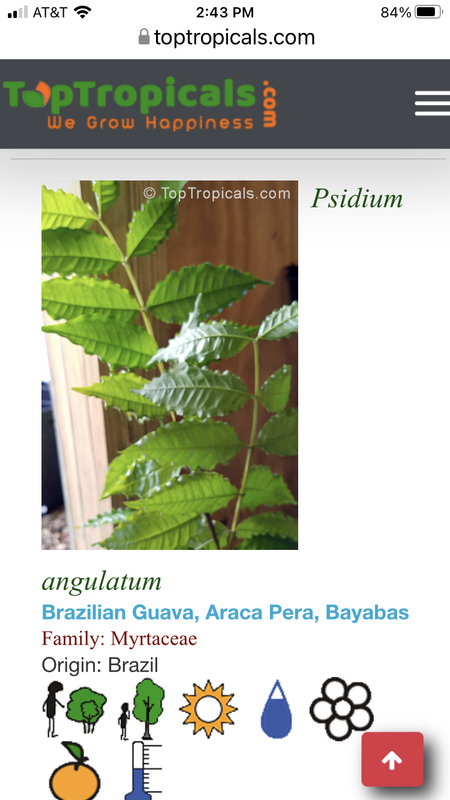 0A73F0BB-BC3C-4DBC-8298-B5740EDC3B8A