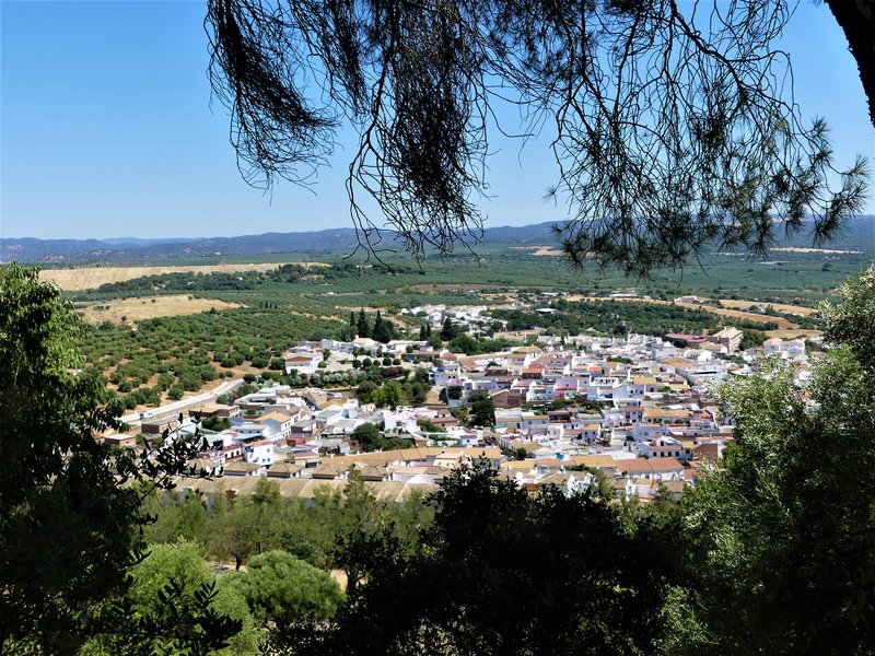 ALMODOVAR DEL RIO-4-7-2020 - Córdoba y sus pueblos-2017/2020 (34)