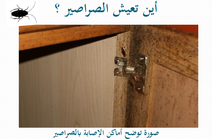 10-11-2021 08-40-58 ص