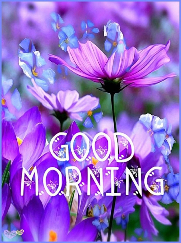 73f5f0fda826c563f23c0c30db62cf1b