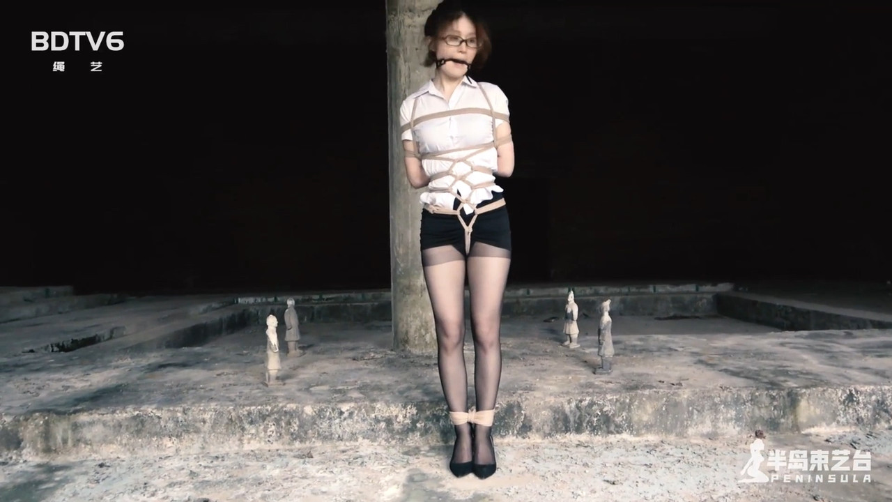 半岛束艺 古墓丽影 上 鹿野.mp4_20201110_131557.372