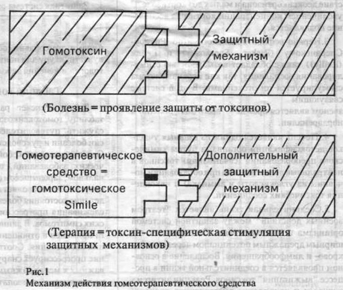 https://i.postimg.cc/xdr0j36c/001.jpg