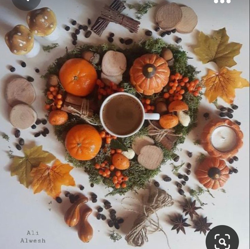 Screenshot_20231031_170724_Pinterest