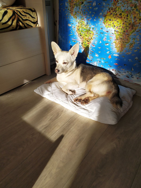 CBCCF534-95FE-49EA-8311-ED9C9842BD5F