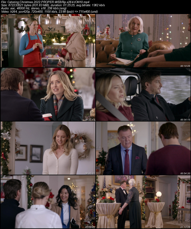 Catering-Christmas-2022-PROPER-WEBRip-x264-ION10.png