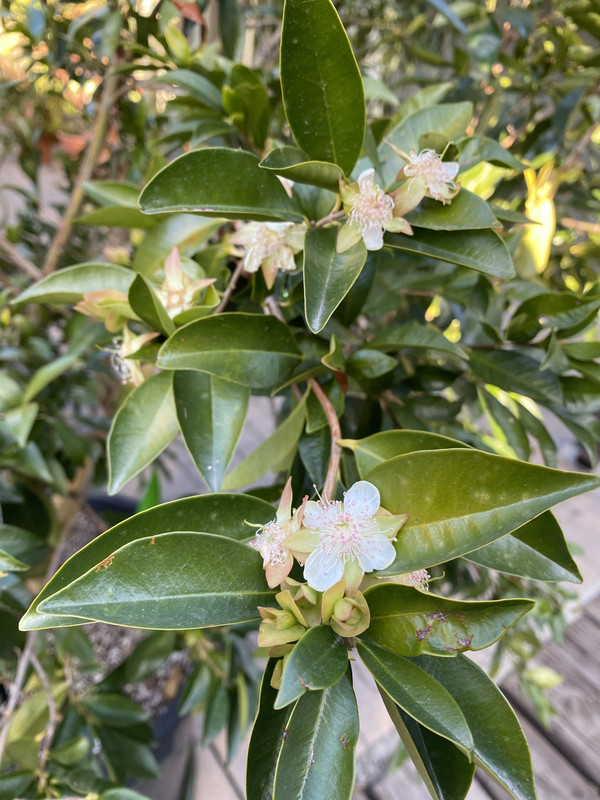 B55FCF35-1B56-4936-8E19-6BAEF1B442EA