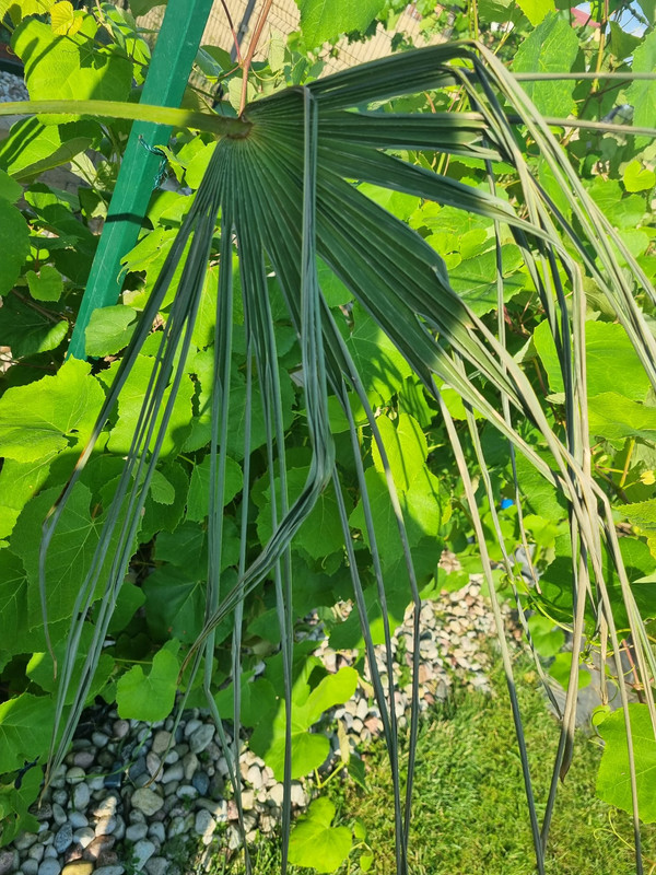 Zdjęcie WhatsApp 2024-07-18 o 14.33.04_167cf729