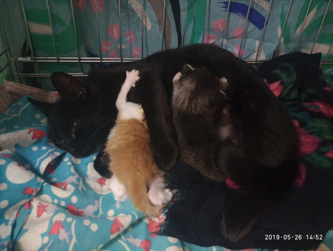 8484B2F1-F5BF-4DC6-9A83-974792A57373