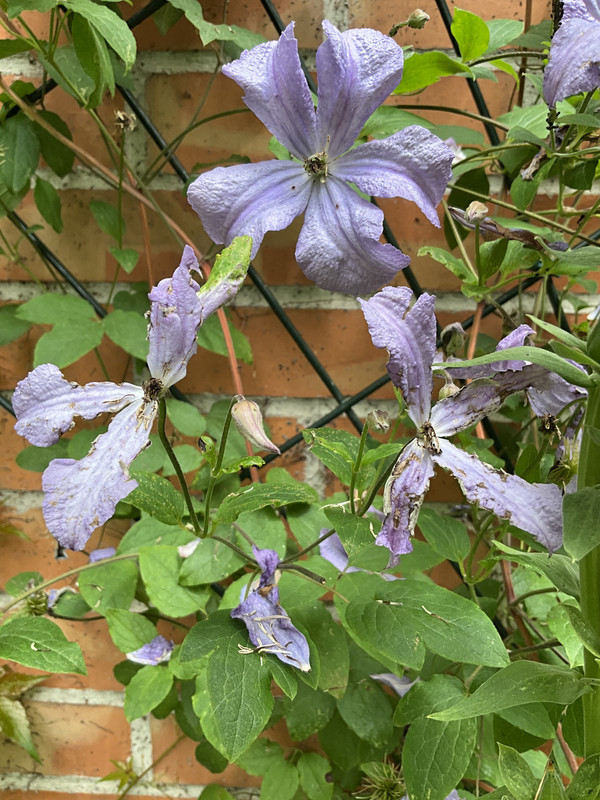 366AB5E4-7BD3-4E5A-A221-2DE35885993B