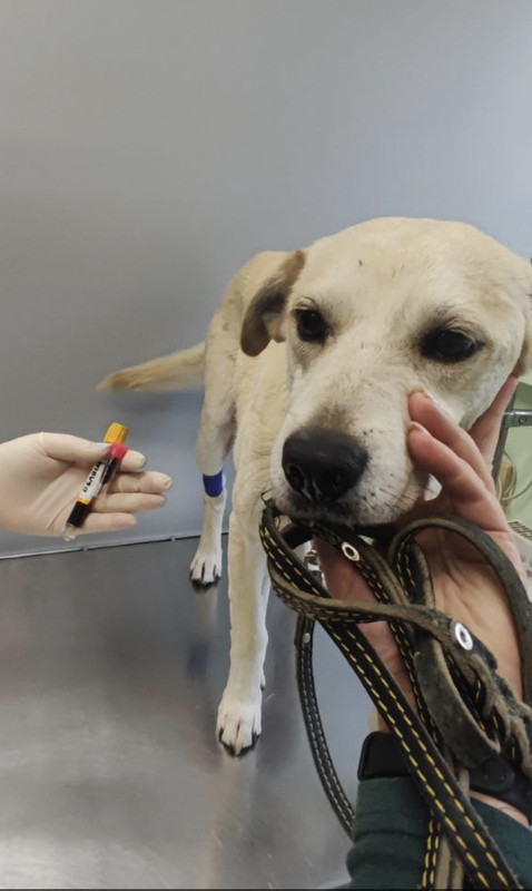 AA0EBC4C-3476-497A-936E-96ED78EB7073