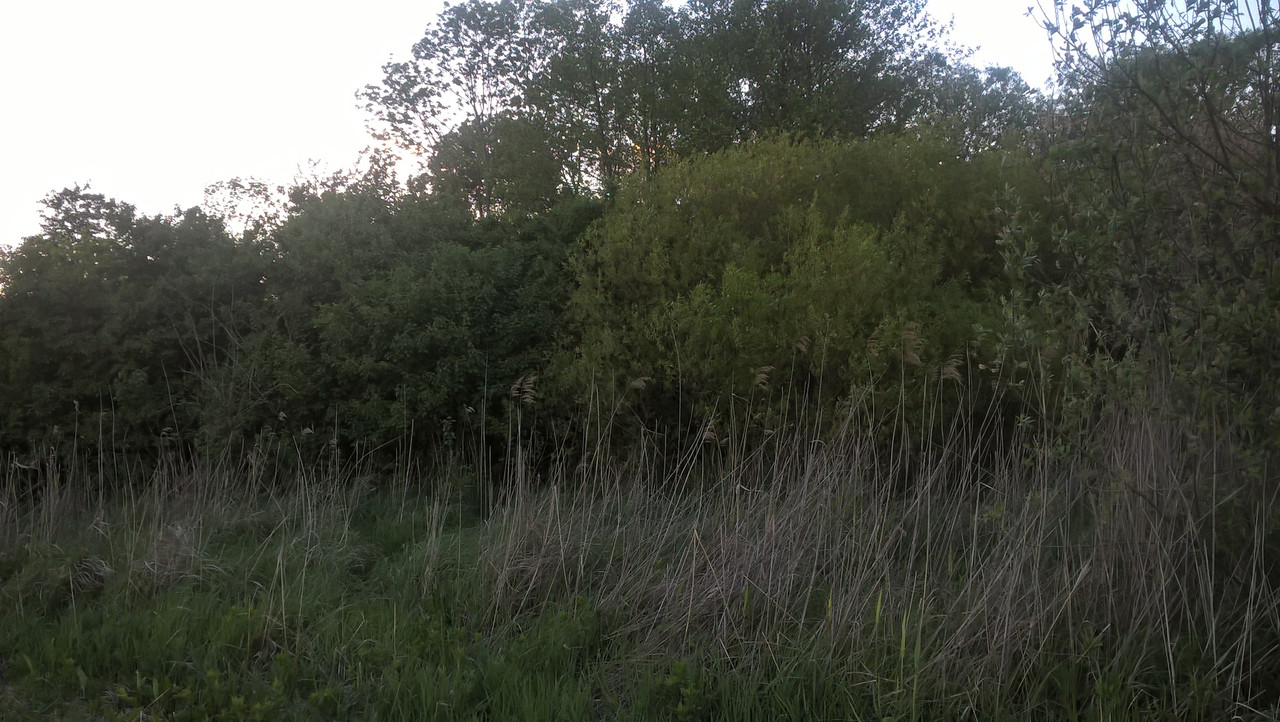 01.05 - WP_20160515_20_00_26_Pro (Hanka)