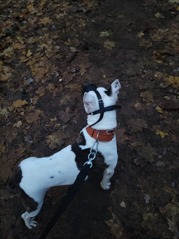 496FB764-8E87-487A-BF5E-BE8A0E7E20BC