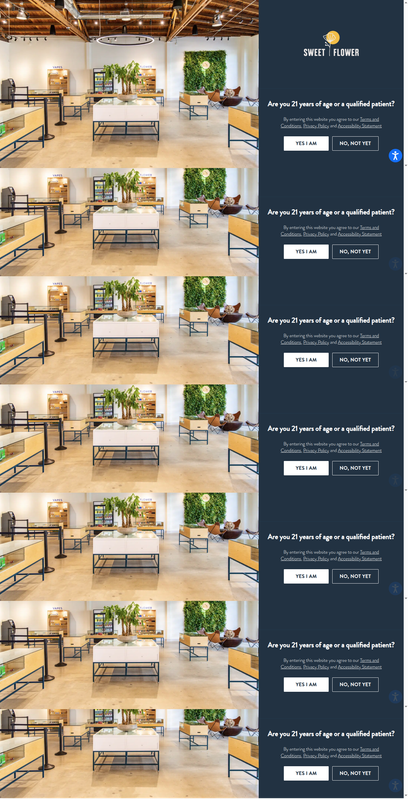 Premium cannabis flower Culver City