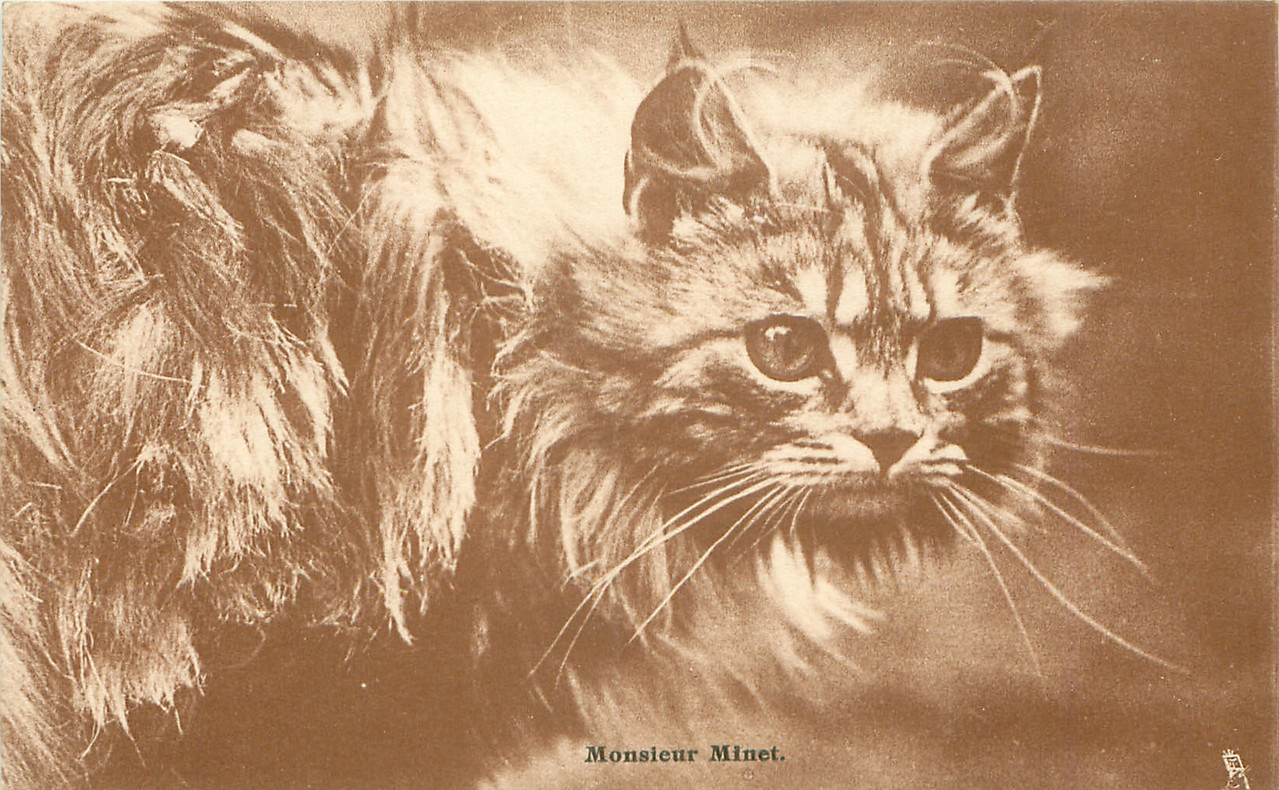 32-2011-07-31-13-29-15