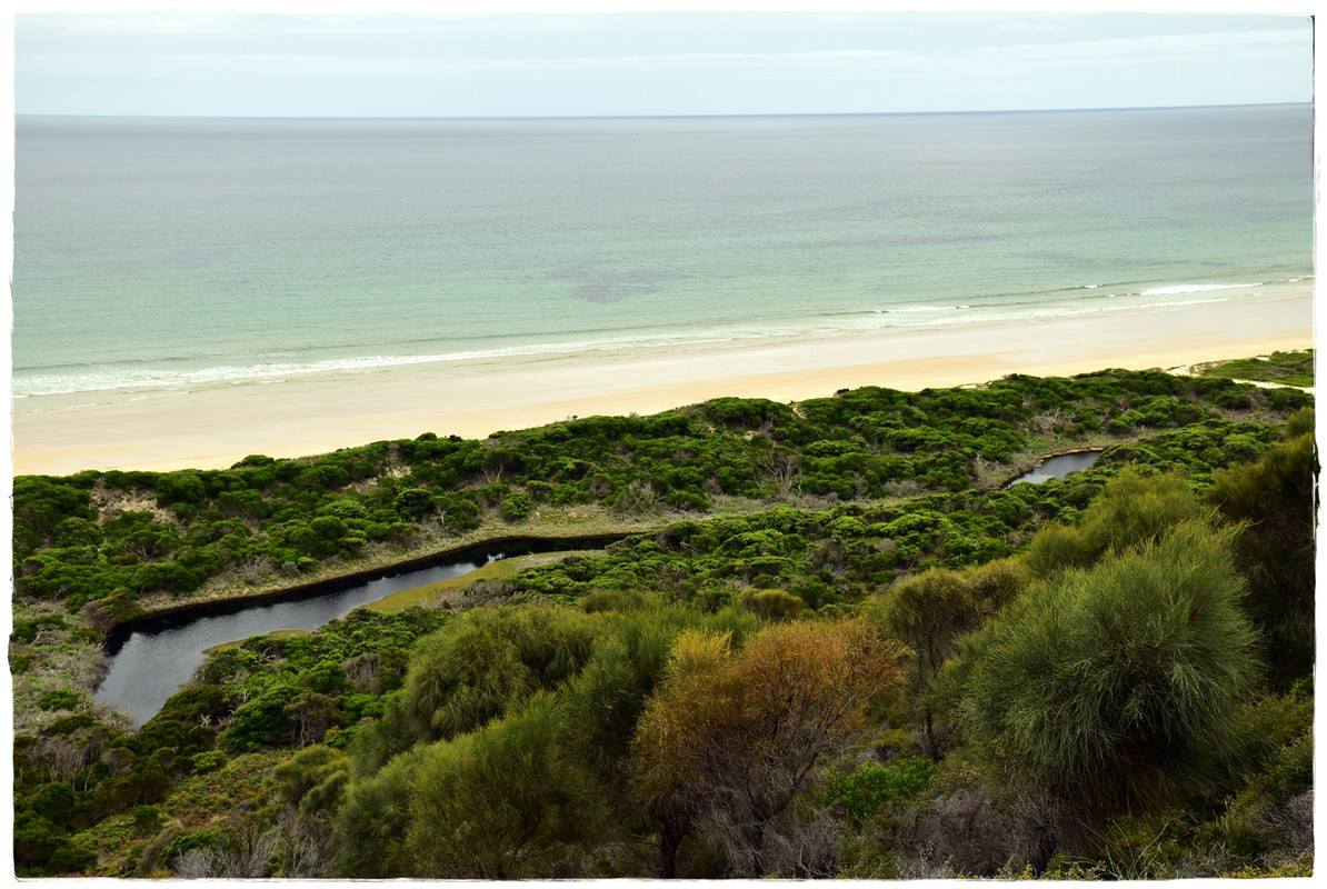 Narawntapu National Park - Australia (II): Recorriendo Tasmania (12)