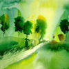 SB04-Colors-green