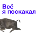 https://i.postimg.cc/xdtJqPvQ/Kabanch-015.png