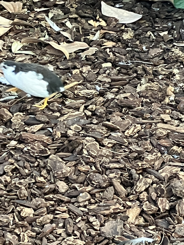 4723BC32-0F46-486C-BFFA-D18D0927F160