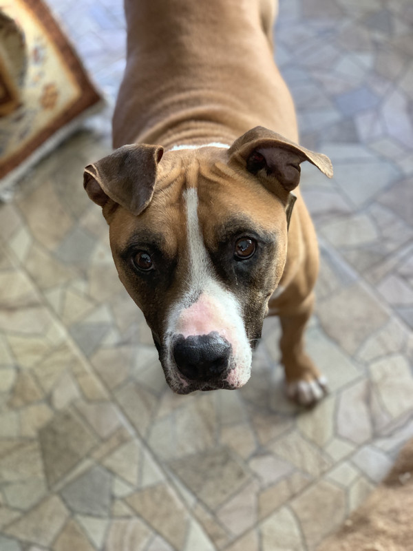 DF6F6B38-4B57-4087-8528-00FE484832B5