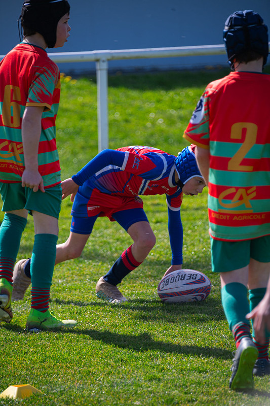 tournoi-de-latlantique-2026-adonis-griffon-150-55180399322-l