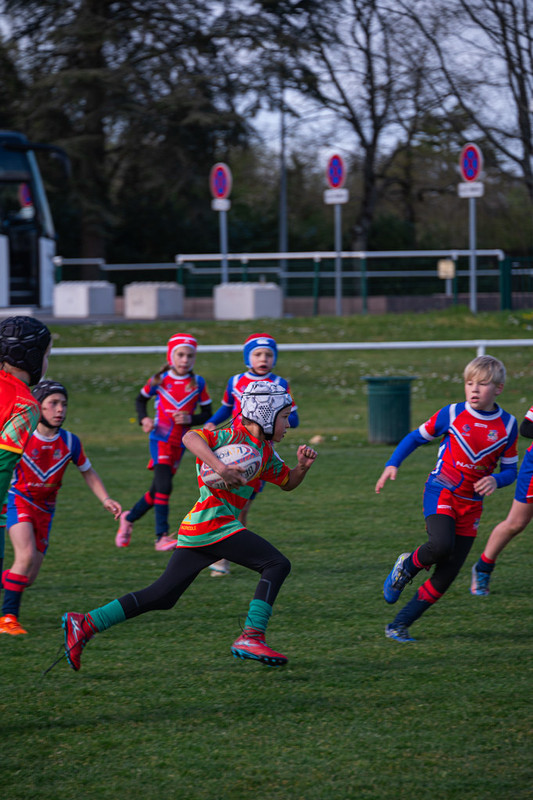 tournoi-de-latlantique-2026-adonis-griffon-162-55181287106-l