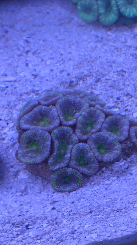 4D1FFAB7-EF33-4D34-B82A-C5FAF943B61C